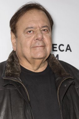 2015 Tribeca Film Festivali