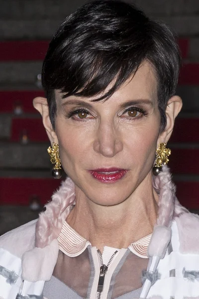 2015 Tribeca Film Festival — Zdjęcie stockowe