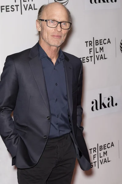 Festival de Cine de Tribeca 2015 —  Fotos de Stock