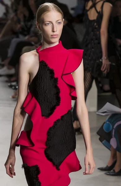 Proenza Schouler - Spring Summer 2016 Collection — Stok fotoğraf