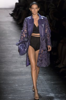 Dennis Basso - bahar 2016 koleksiyonu