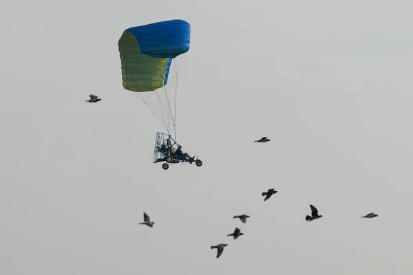 Paramotor Flying Sky Surrounded Birds Parachute Blue Yellow — Stock Photo, Image