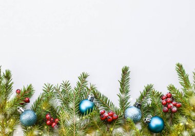 Noel süsü ve köknar dallarında böğürtlen