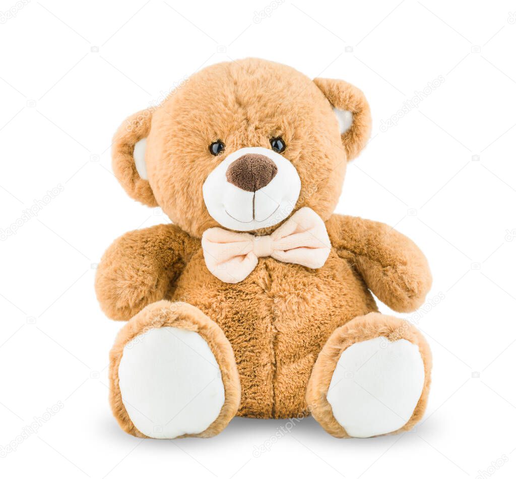 brown teddy bear on white isolated background