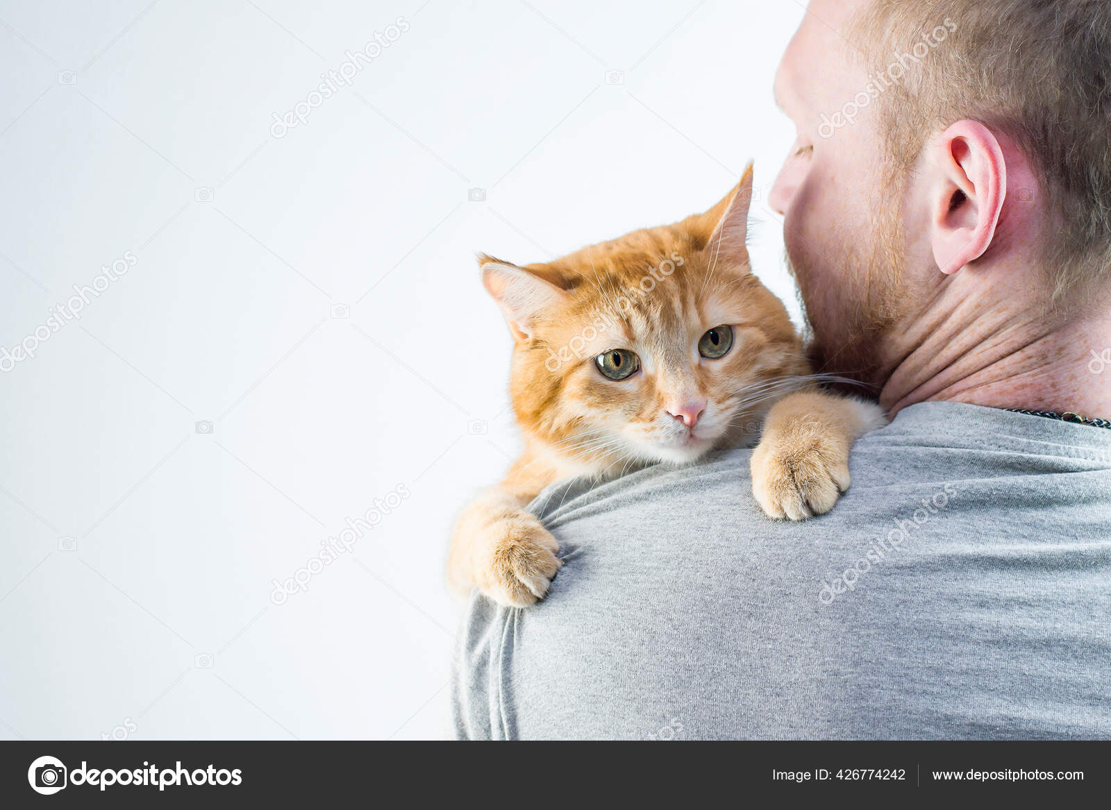 Homme Avec Chat Roux Dans Les Bras Image Libre De Droit Par Irinagutyryak C
