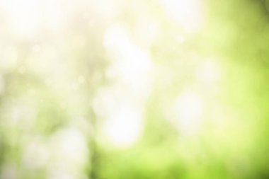 Arka planda odağını kaybetmiş ağaçlar. doğal arkaplan