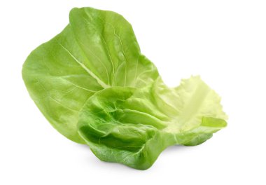 İzole edilmiş beyaz arka planda iki tereyağlı marul.