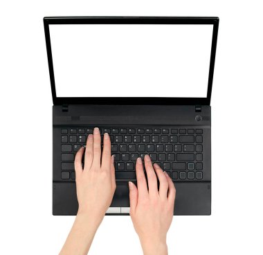 Eller dizüstü bilgisayarda yazı yazıyor. izole edilmiş beyaz arkaplan