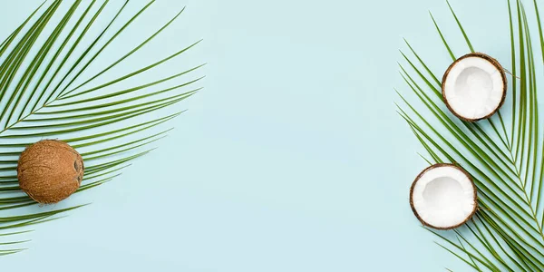 浅蓝色背景的棕榈叶和椰子 — 图库照片