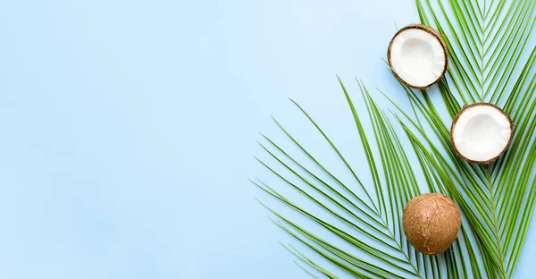 Palmbladeren Kokosnoten Een Lichtblauwe Achtergrond Zomerachtergrond — Stockfoto