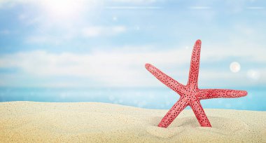 Bir kızıl denizyıldızı denizin arka planında, kumların üzerinde.