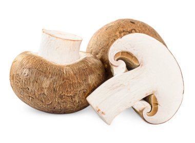 Beyaz izole arkaplanda üç şampiyon