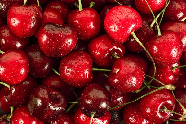 Fondo Cerezas Gotas Agua Primer Plano —  Fotos de Stock