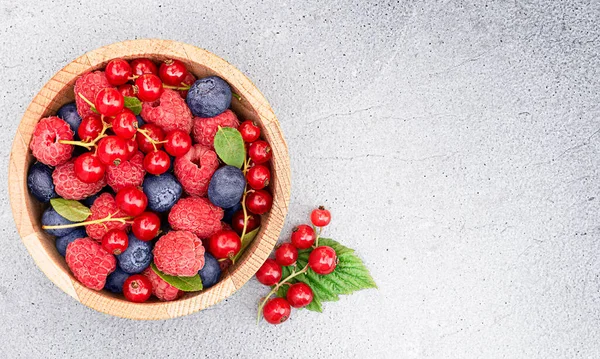 Taze ahududu, kırmızı frenk üzümü ve yaban mersini tabağı açık beton arka planda.