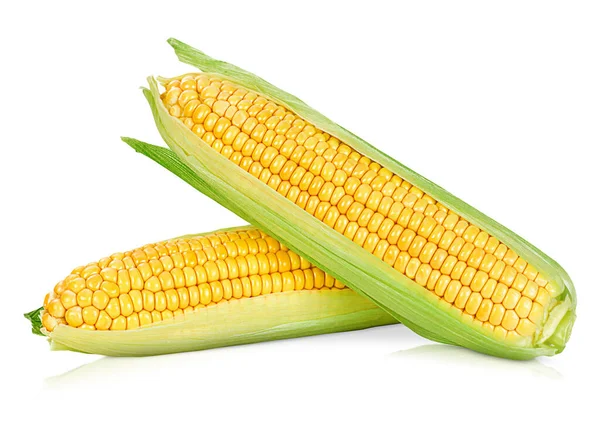 Two Fresh Corn White Isolated Background — Stock Photo, Image