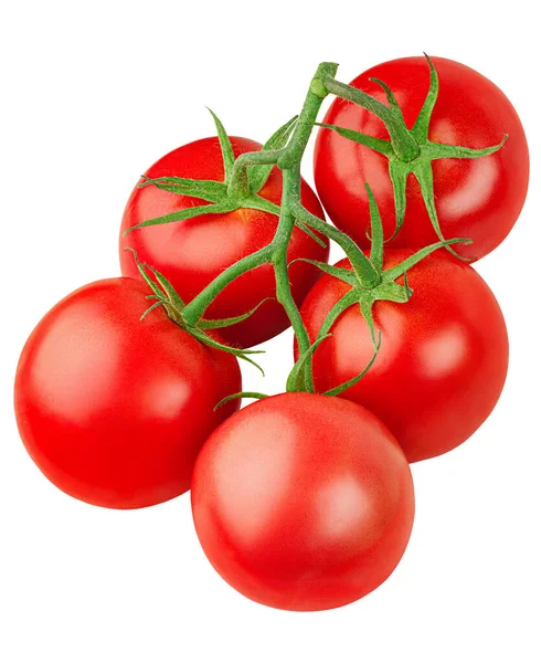 Cinco Tomates Ramo Fundo Branco Isolado — Fotografia de Stock
