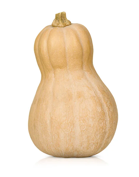 Ein Butternut Kürbis Steht Auf Isoliertem Weißem Hintergrund — Stockfoto