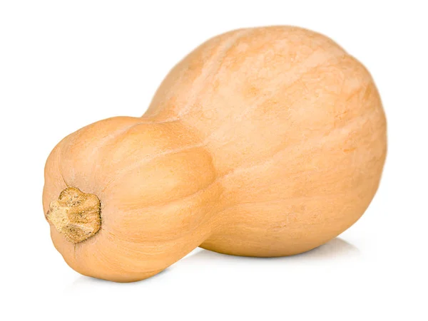 Una Calabaza Encuentra Sobre Fondo Blanco Aislado —  Fotos de Stock