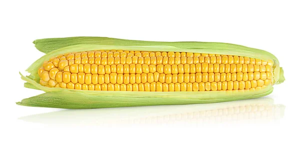 One Ear Fresh Corn White Isolated Background — Stock Photo, Image