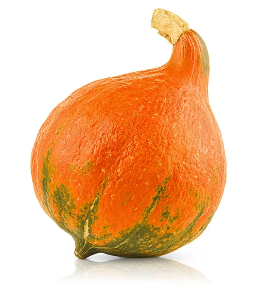 Ein Ganzer Orangefarbener Kürbis Auf Weißem Hintergrund — Stockfoto