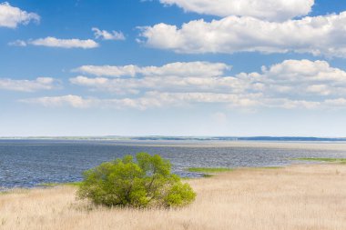 Polonya Baltık Denizi 