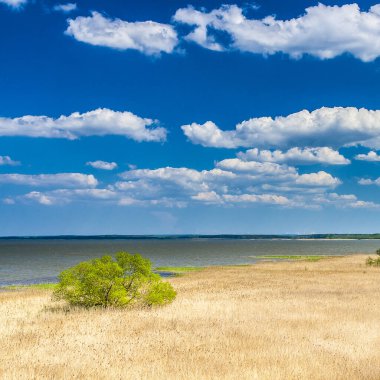 Polonya Baltık Denizi 