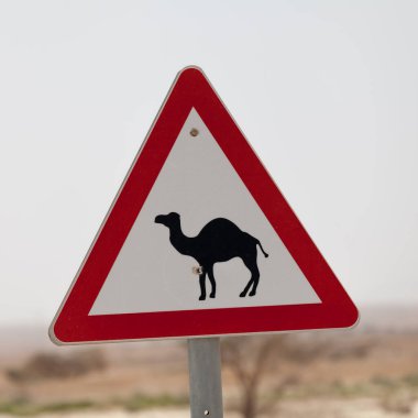 Güzel yol işareti dikkat develer.