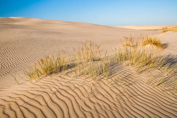 Mar Baltico — Foto Stock