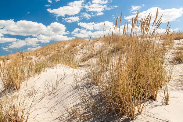 Baltic Sea — Stock Photo, Image