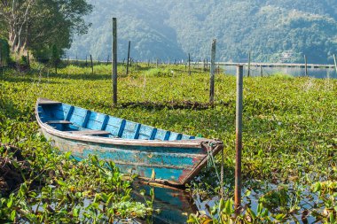 POKHARA, NEPAL - CIRCA NOVEMBER 2013: Kasım 2013 sıralarında Pokhara 'da göl manzarası.
