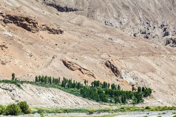 Beautiful View Pamir Wachan Corridor — Stock Photo, Image