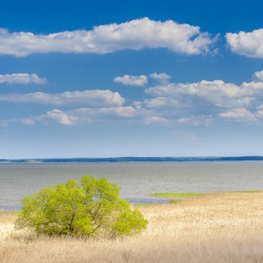 Eylül 2016 'da Hvar adasındaki Sveti Nikola' nın en yüksek manzarası.