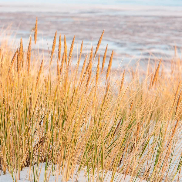 Baltic Sea — Stock Photo, Image