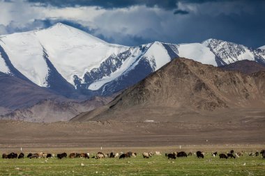 Tacikistan 'daki Pamir' in güzel manzarası