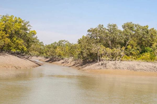 Sundarbans India Circa November 2013 Sundarbans Largest Mangrove Forest World — Stock Photo, Image