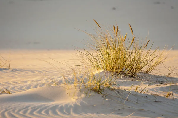 Oostzee — Stockfoto