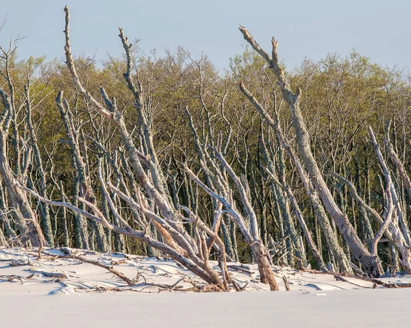 Östersjön — Stockfoto