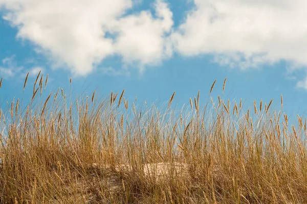 Baltic Sea — Stock Photo, Image