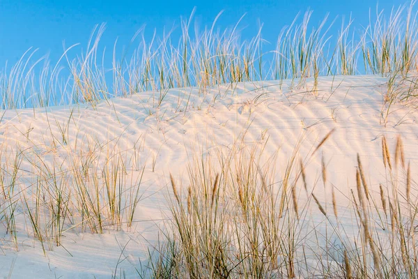 Ostsee — Stockfoto