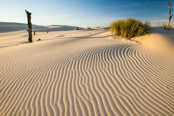 Bella Vista Dalla Cima Sveti Nikola Più Alto Sull Isola — Foto Stock