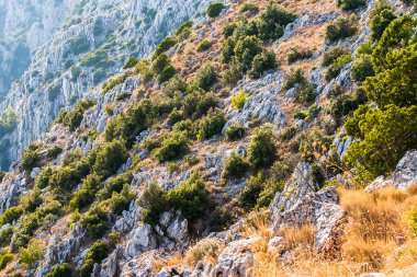 Sveti Nikola 'nın tepesinden Hvar adasının en yüksek manzarası.