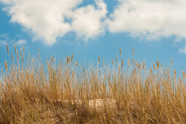 Die Ostsee Ein — Stockfoto