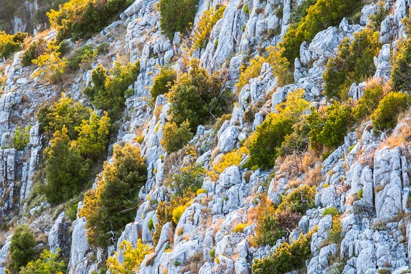 Sveti Nikola Nın Tepesinden Hvar Adasının Yüksek Manzarası — Stok fotoğraf