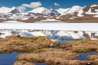 Kırgızistan 'ın Issyk Kul Bölgesinde Barskoon (Arabel) Syrts