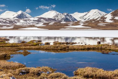 Kırgızistan 'ın Issyk Kul Bölgesinde Barskoon (Arabel) Syrts