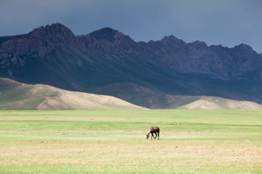 Sary-Mogul bölgesindeki Pamir dağlarının güzel manzarası