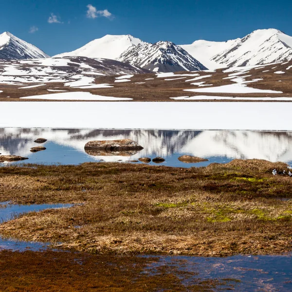 Barskoon Arabel Syrten Der Region Issyk Kul Kirgisistan — Stockfoto
