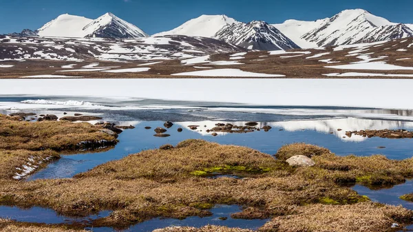 Barskoon Arabel Syrts Issyk Kul Regionen Kirgizistan — Stockfoto