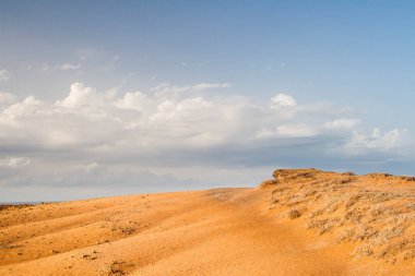 OUALIDIA, MOROCCO - CIRCA EPTEMBER 2014: Oualidia 'nın Eylül 2014' te Oualidia 'da görülmesi.