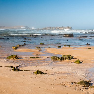 OUALIDIA, MOROCCO - CIRCA EPTEMBER 2014: Oualidia 'nın Eylül 2014' te Oualidia 'da görülmesi.